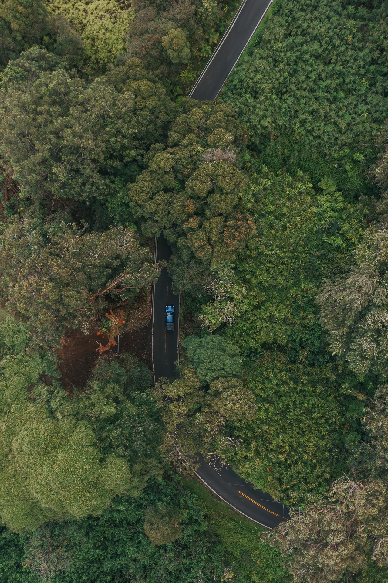 explore maui in a camper van rental