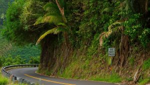 Maui Attractions