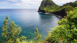 Maui Experience