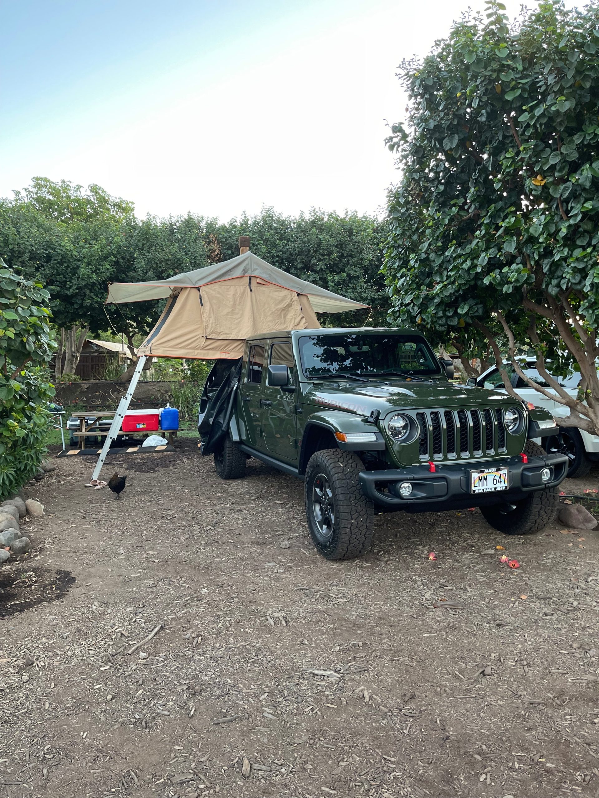 jeep gladiator camper rental maui